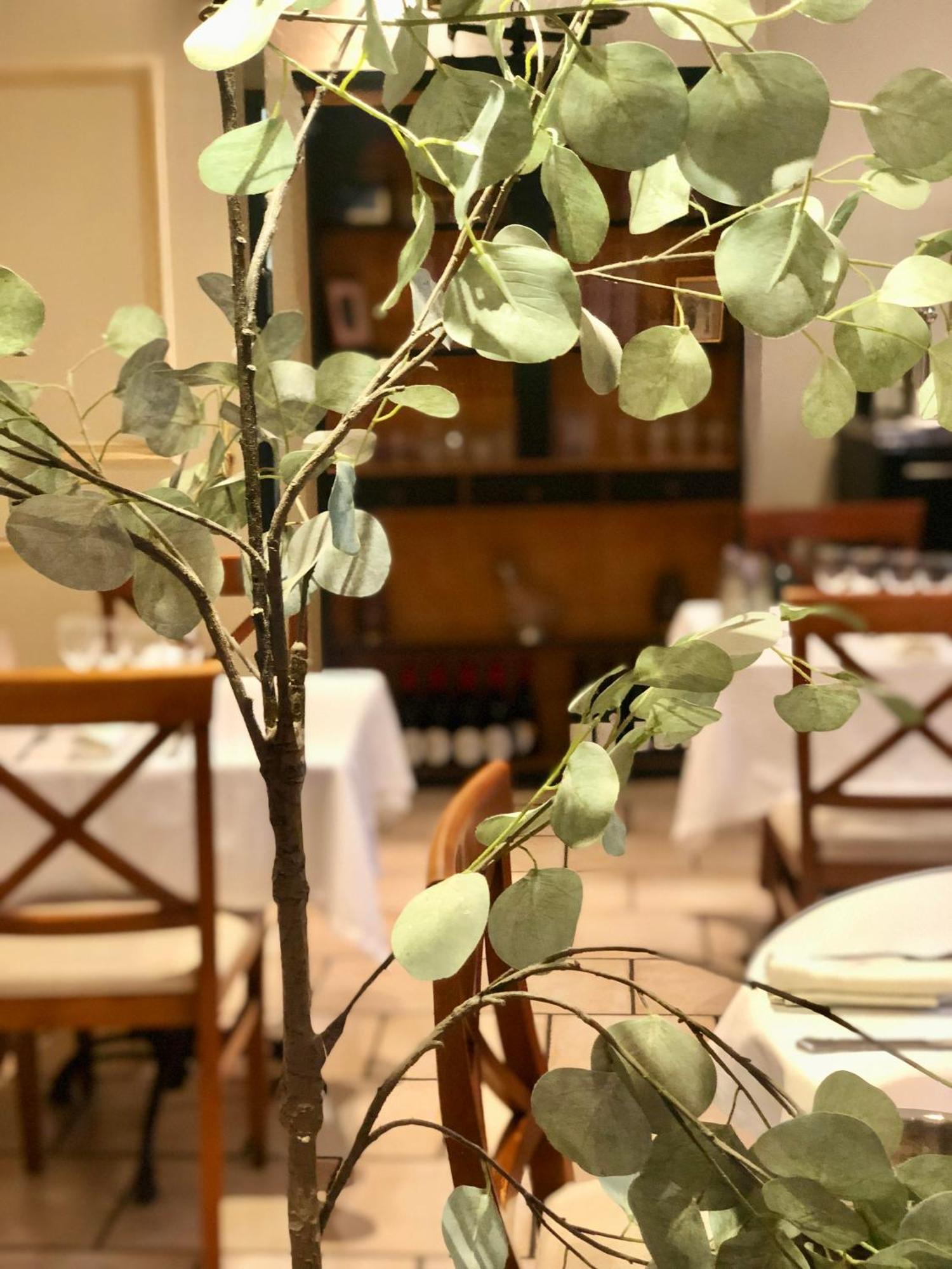 Logis Hotel Et Restaurant La Bastide Cabezac Bize-Minervois Dış mekan fotoğraf